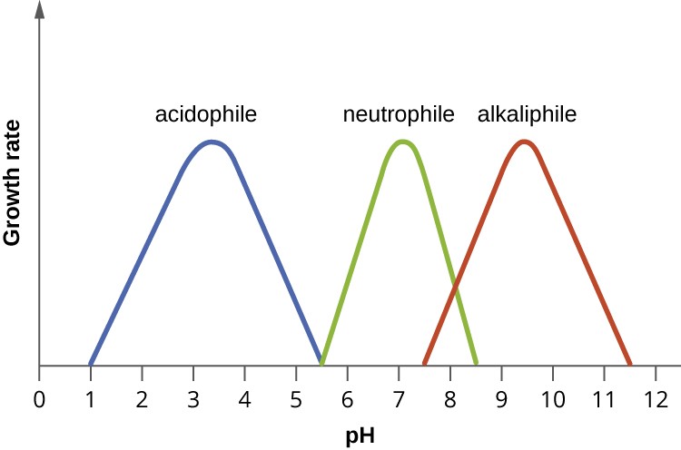A graph with pH on the X axis and growth rate on the Y axis. One bell shaped curve peaks at about pH 3 and drops down, reaching a growth rate of 0 at pH 1 and 5.5. This line is labeled acidophile. Another bell curve peaks at pH 7 and drops to 0 at pH 5.5 and 8.5. This is labeled neutrophile. The final curve peaks at pH 9.5 and drops to 0 at pH of 7.5 and 11.5. This is labeled alkaliphile.